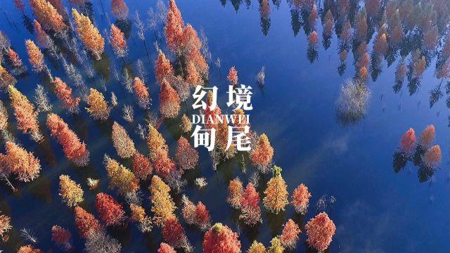 疯狂猜动漫2