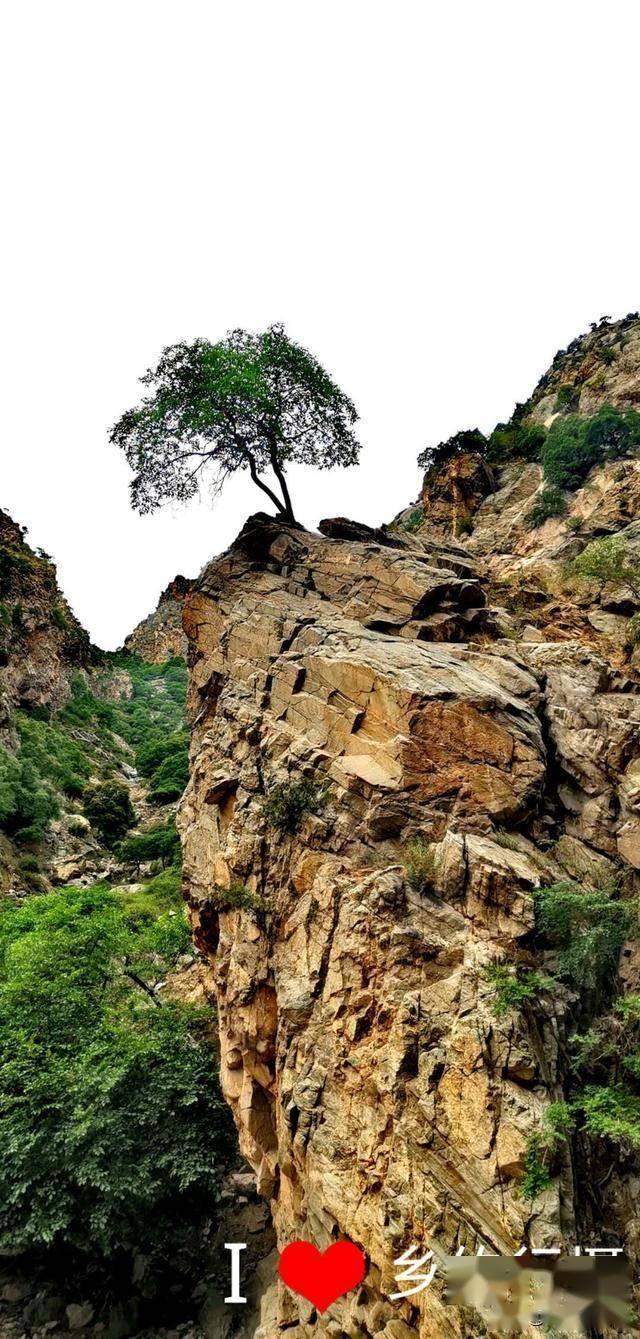 异地离婚程序怎么走？游戏画面